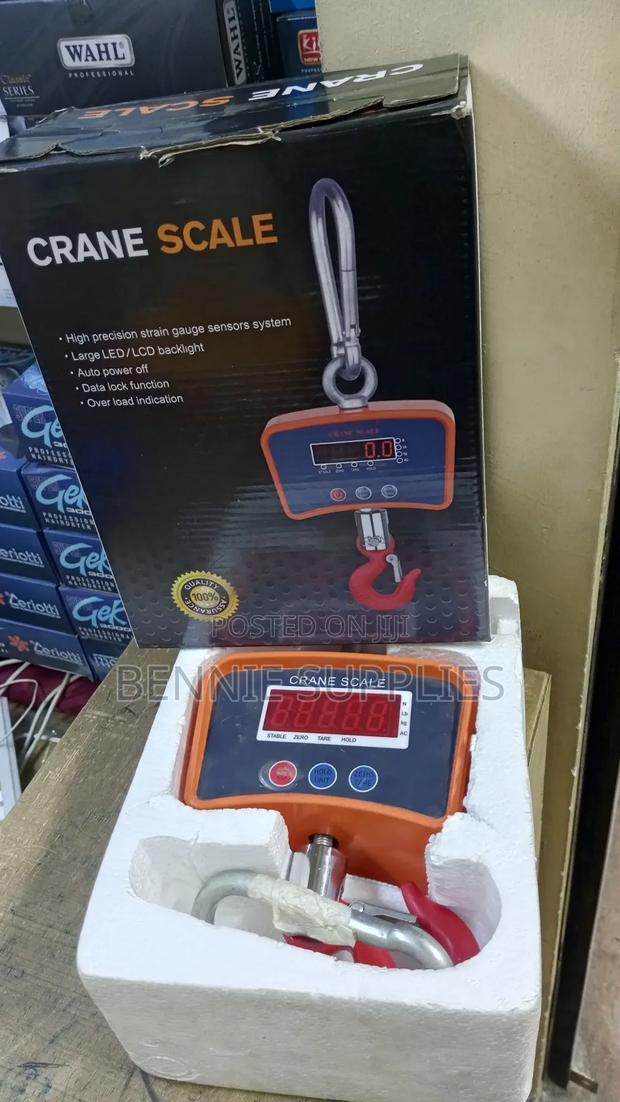 Commercial 500kg Mini Crane / Affordable Mini Crane 500 Kg