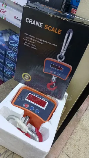 Affordable 500kg Hanging Scale / 500 Kg Mini Crane
