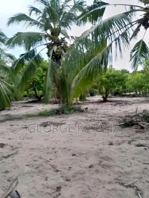 Buy/Sell Beach Plot