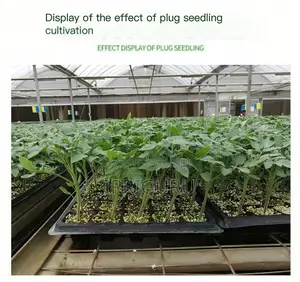 288-Hole Pepper Seedling Trayreuse the Seedling Tray