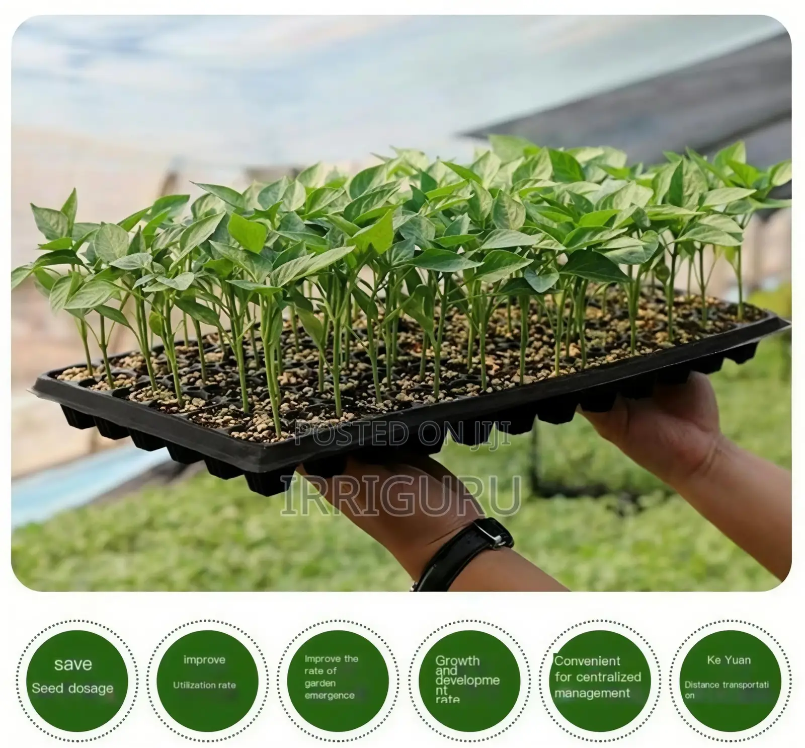 288-Hole Pepper Seedling Trayreuse the Seedling Tray