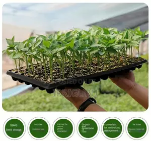 288-Hole Pepper Seedling Trayreuse the Seedling Tray
