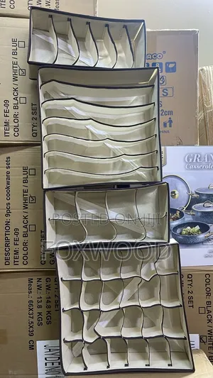 3in1 Undergarments Organizer With a Cover