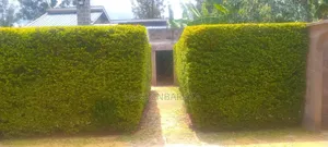 Professional Gardener and Pool Attendant