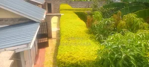 Professional Gardener and Pool Attendant