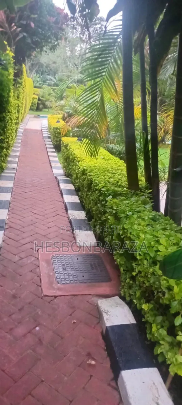 Professional Gardener and Pool Attendant