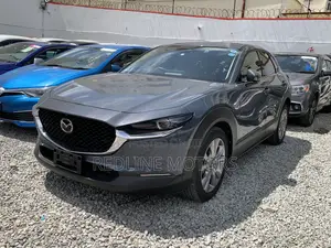 Mazda CX-30 2020 Gray