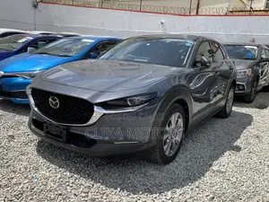 Mazda CX-30 2020 Gray