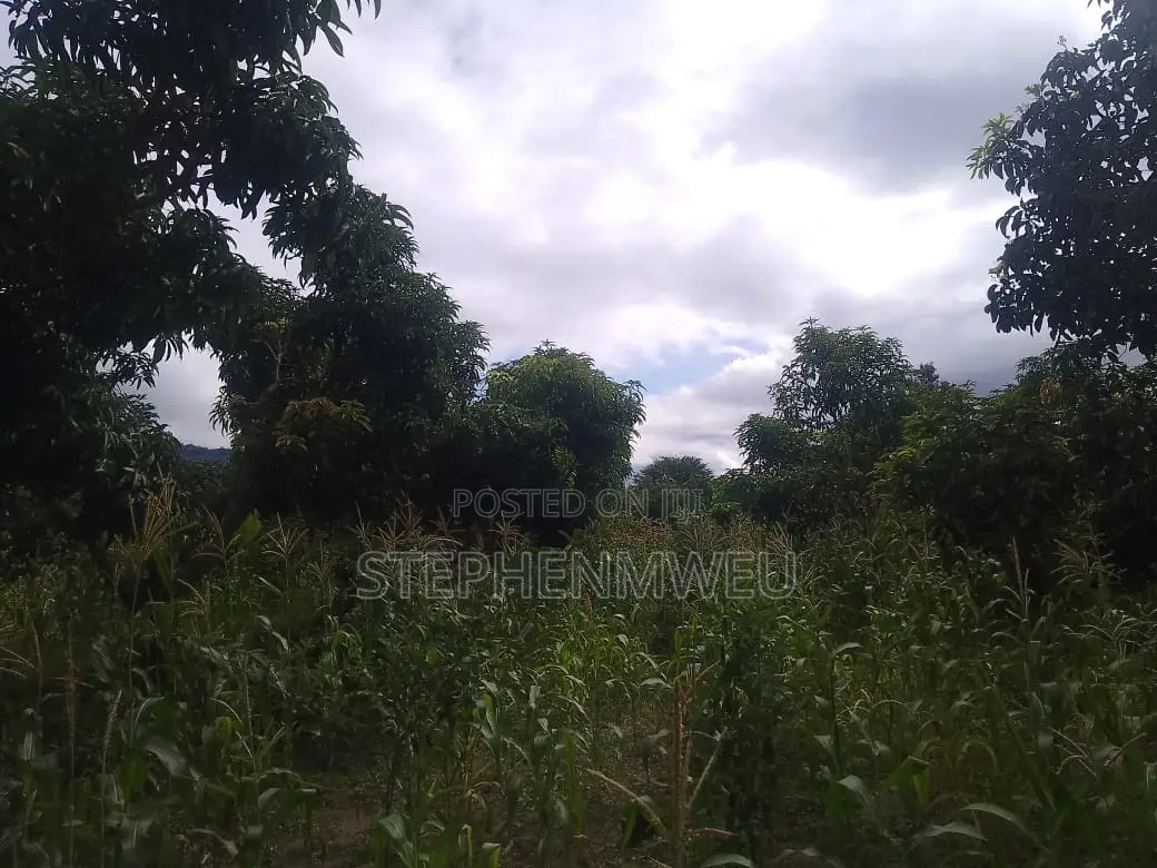Developed Shamba for Sale