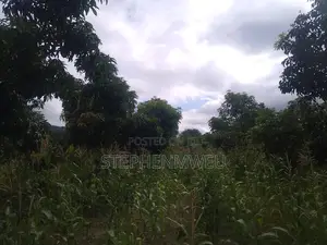 Developed Shamba for Sale