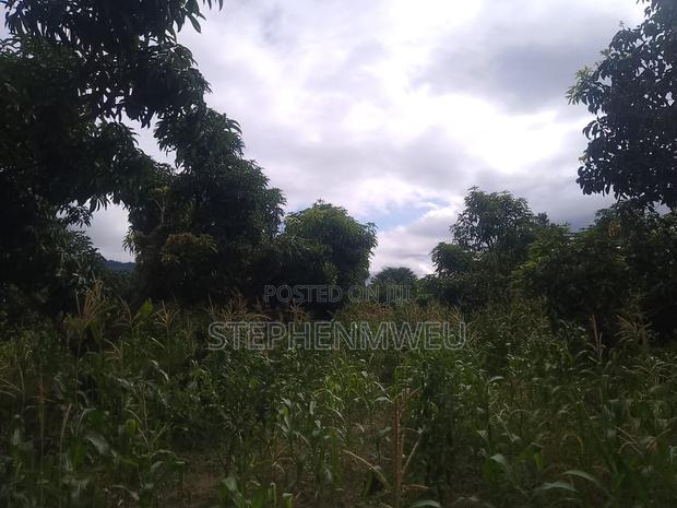 Developed Shamba for Sale - thumbnail 3