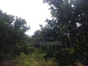 Developed Shamba for Sale