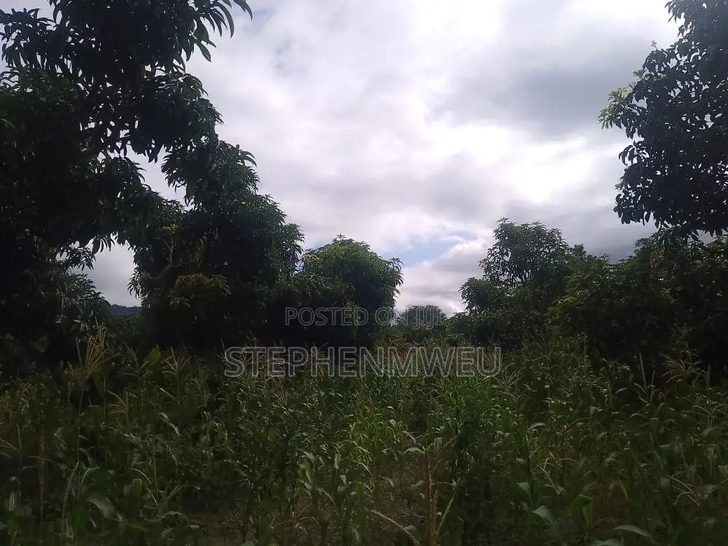Developed Shamba for Sale