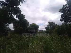 Developed Shamba for Sale