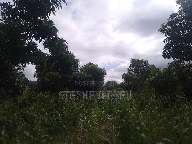 Developed Shamba for Sale - thumbnail 5