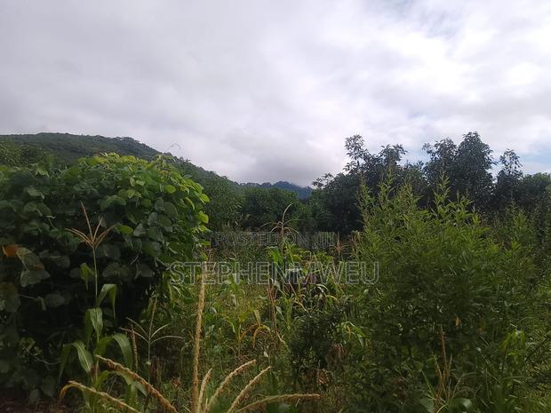 Developed Shamba for Sale - thumbnail 6