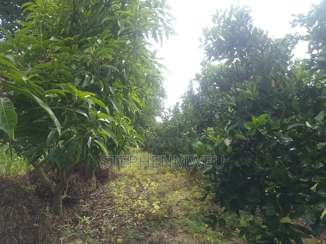 Developed Shamba for Sale