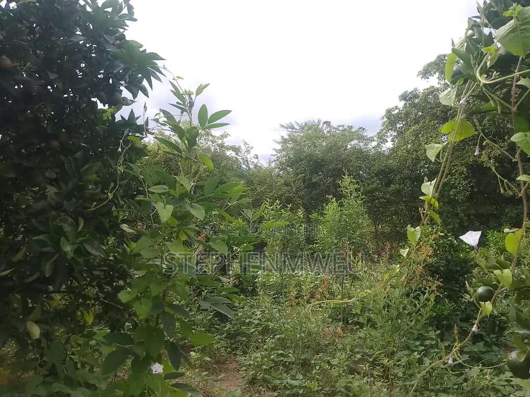 Developed Shamba for Sale
