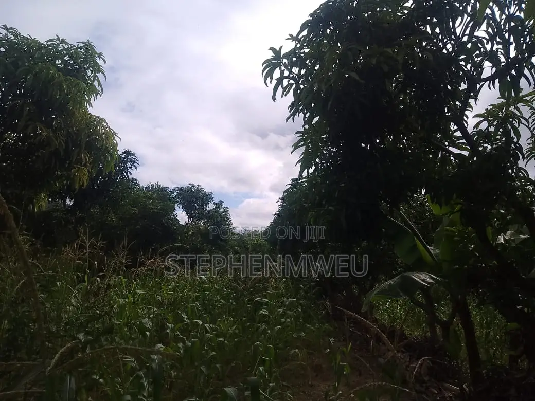 Developed Shamba for Sale