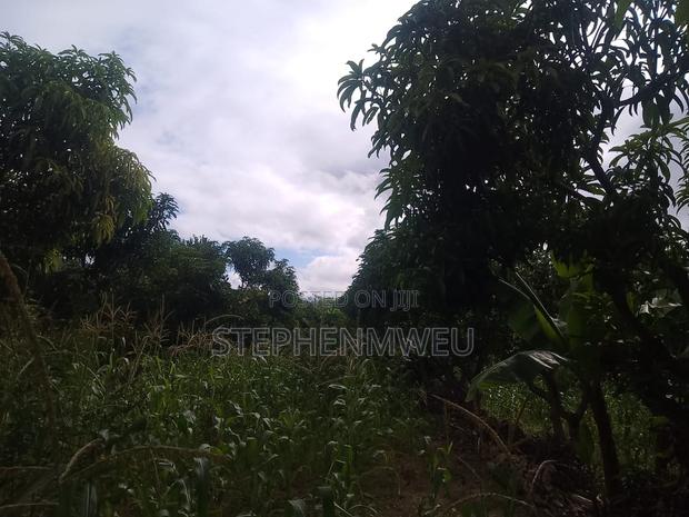 Developed Shamba for Sale - thumbnail 9