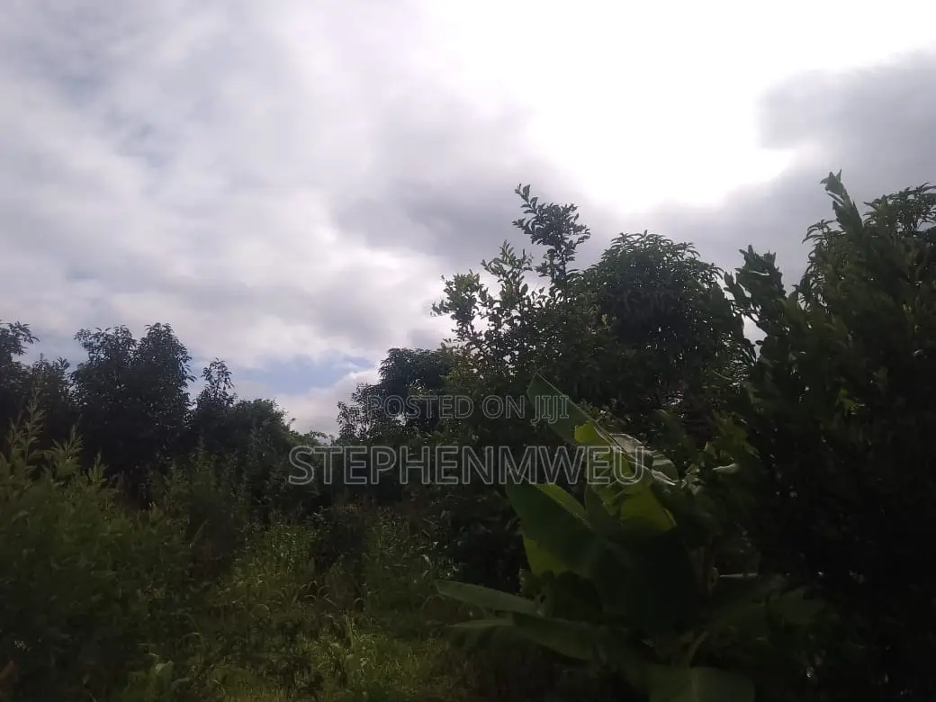 Developed Shamba for Sale