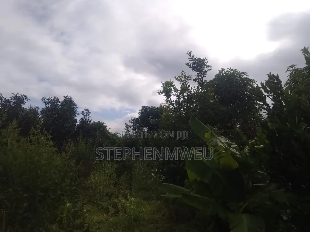 Developed Shamba for Sale