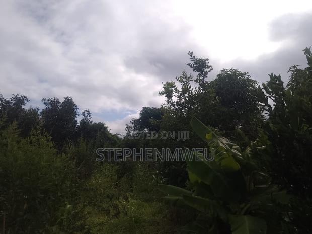 Developed Shamba for Sale - thumbnail 11