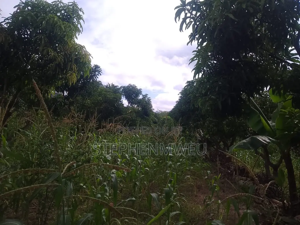 Developed Shamba for Sale