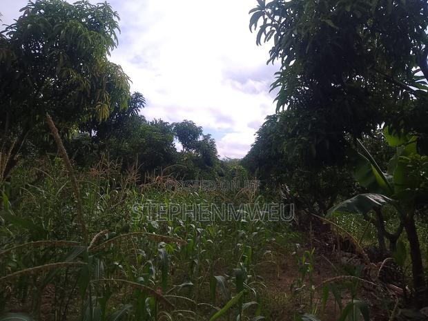Developed Shamba for Sale - thumbnail 12