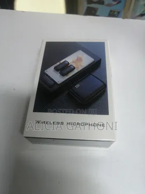 Type C Wireless Dual Microphone
