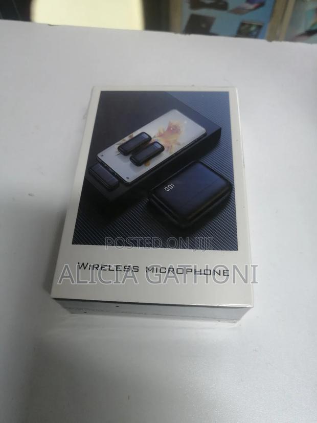 Type C Wireless Dual Microphone