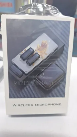Type C Wireless Dual Microphone