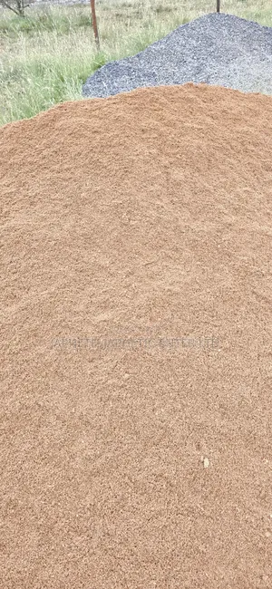 Plaster Sand (Riversand)