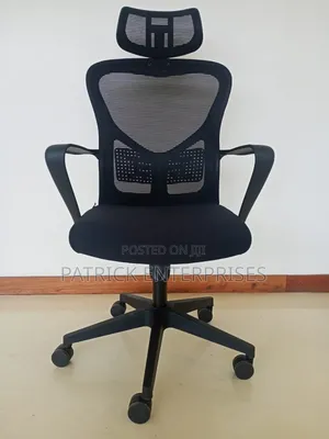 Ergonomic Office /Study Chair