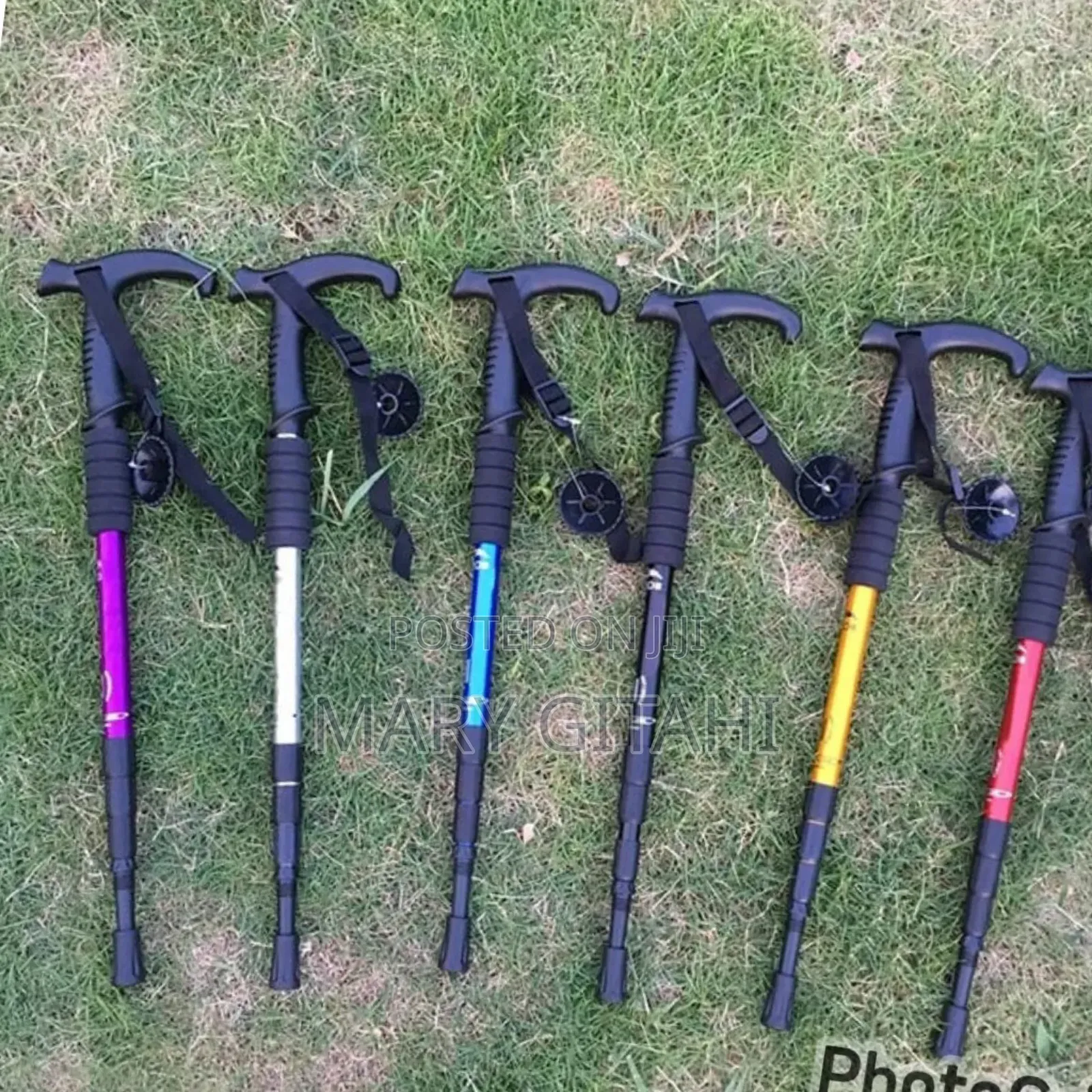 Anti Shock Trekking Pole