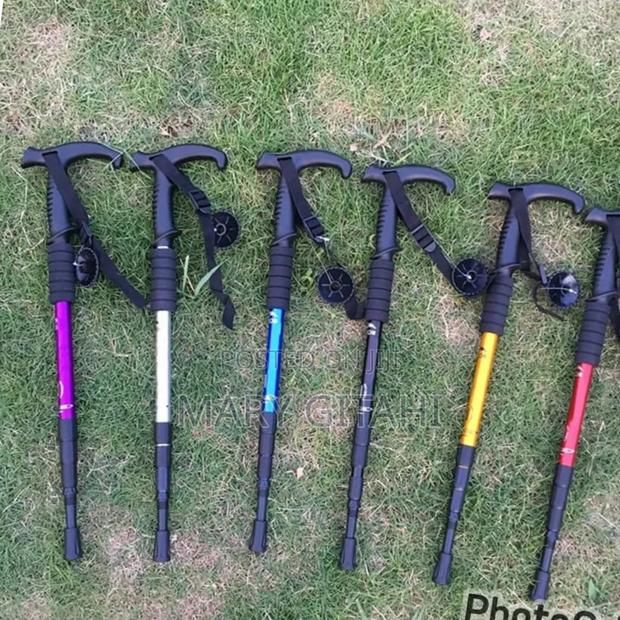 Anti Shock Trekking Pole - main view