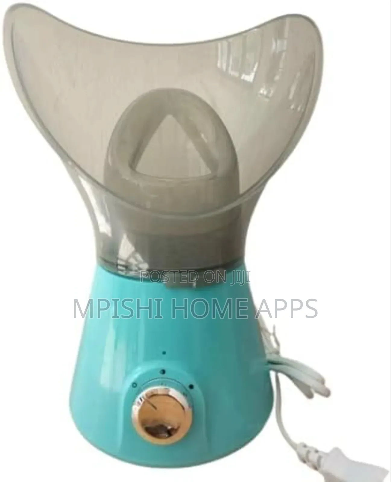 Facial Steamer