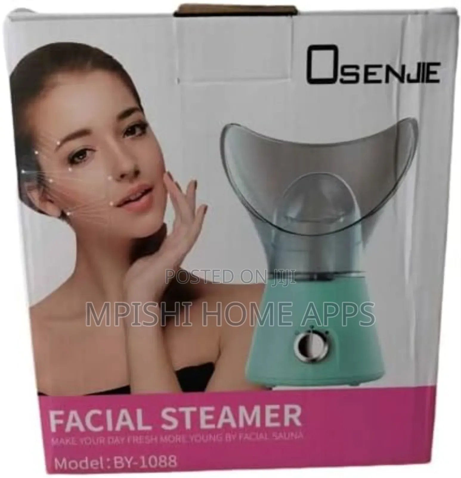 Facial Steamer
