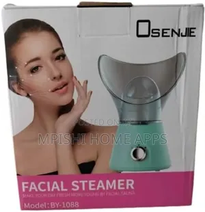 Facial Steamer