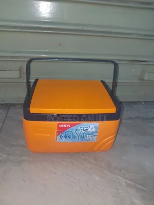 3 Litres Cooler Box