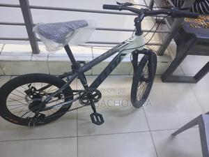 Luta Mountain Bikes Size 20 - thumbnail 2