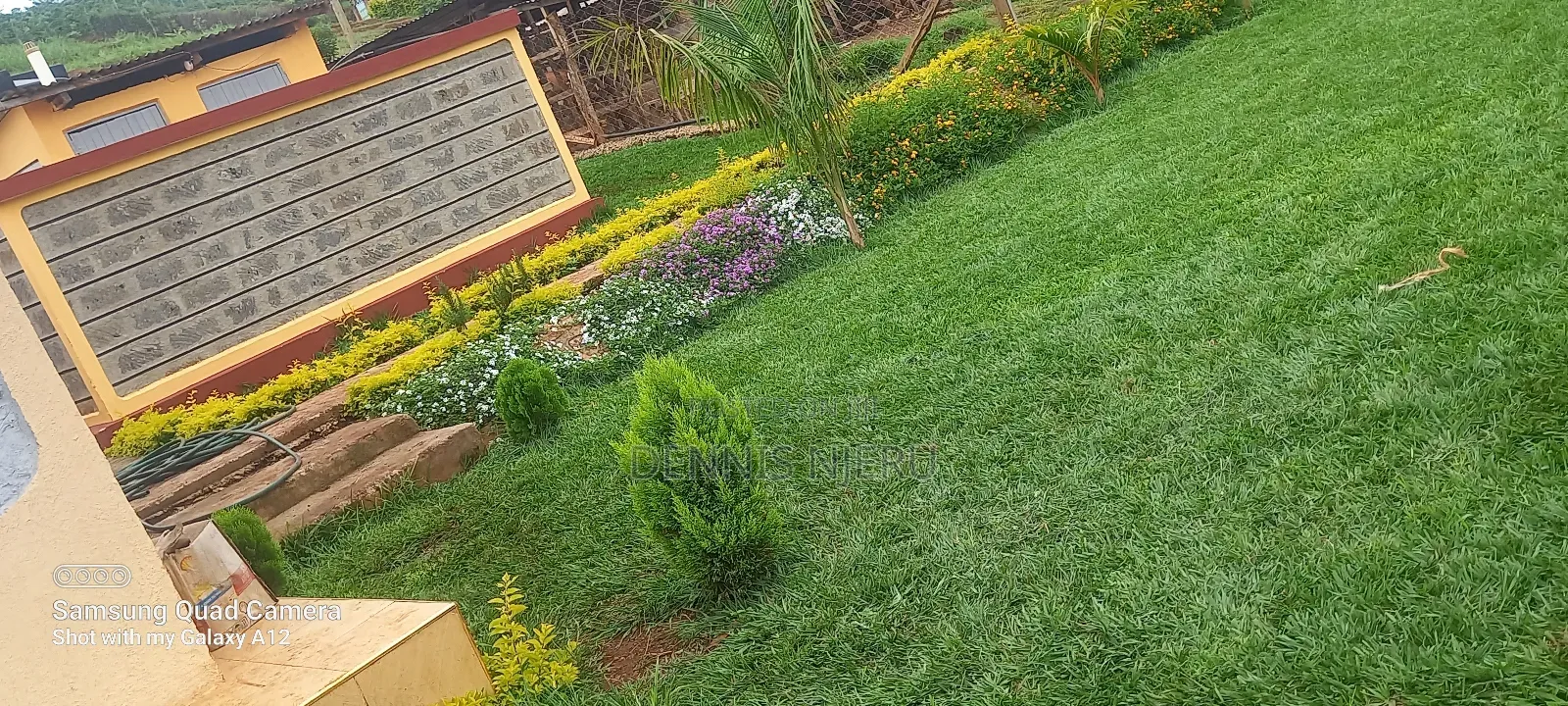 Land Scaping