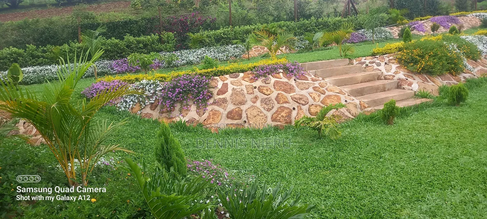 Land Scaping