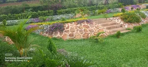 Land Scaping