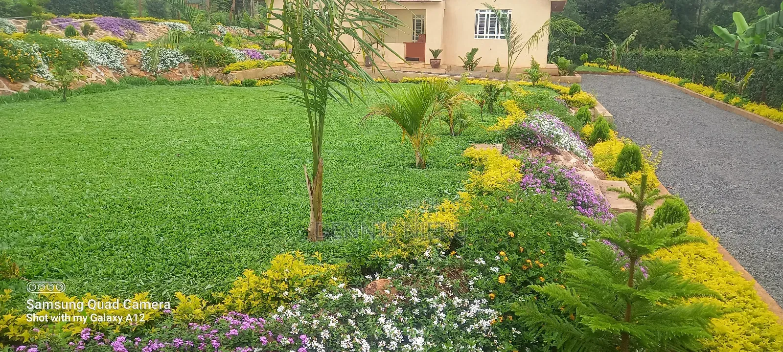Land Scaping