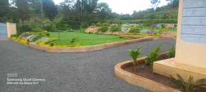 Land Scaping