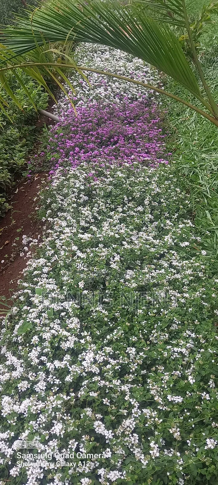 Land Scaping