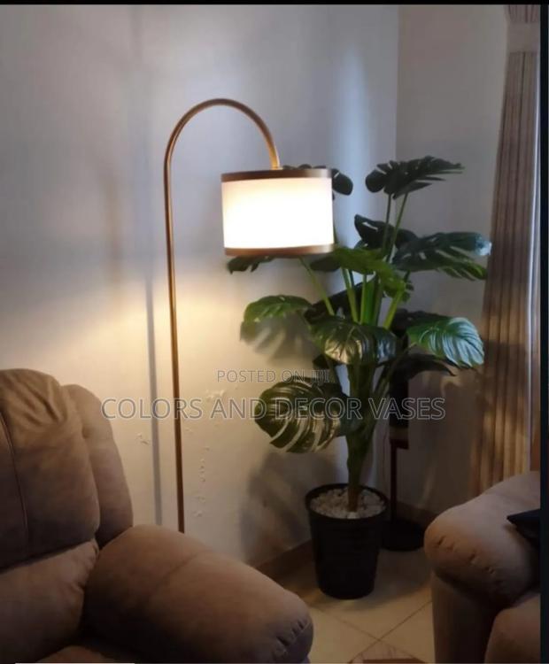 Beautiful Corner Plant