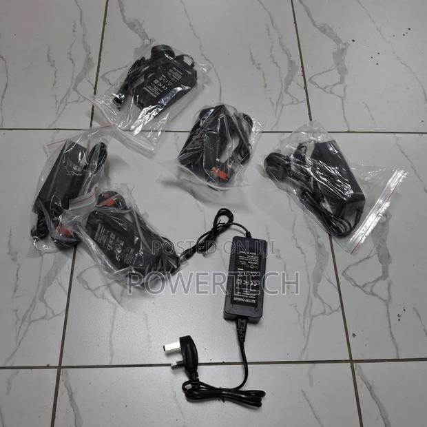 Hoverboard's Charger - main view