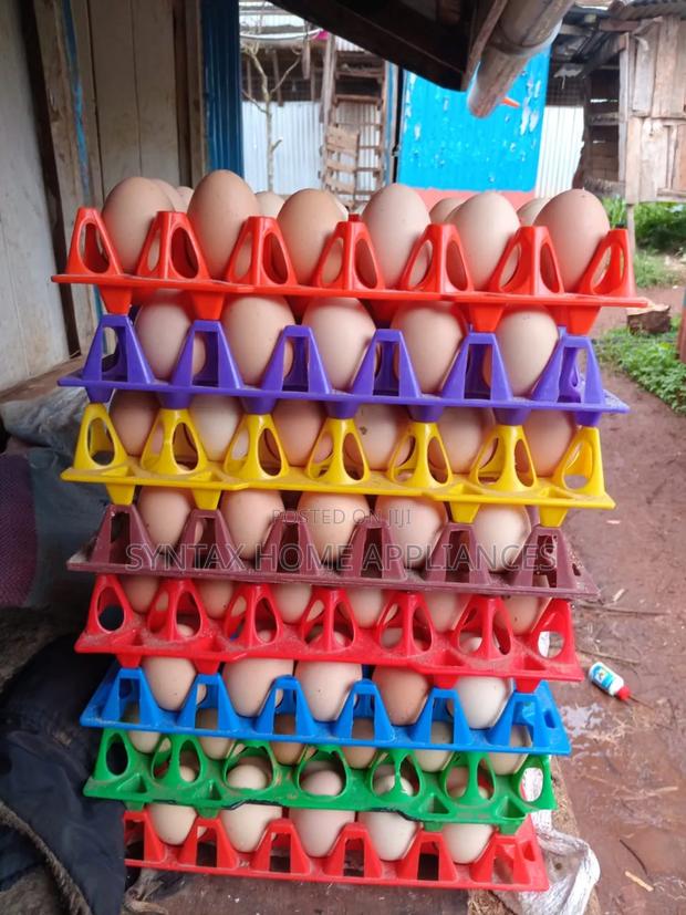 Fertilized Kienyeji F1 Eggs - main view